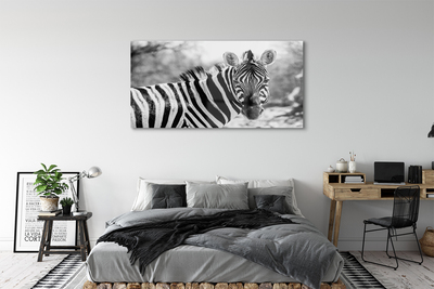 akrylový obraz retro zebra