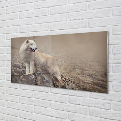 akrylový obraz vlk hory