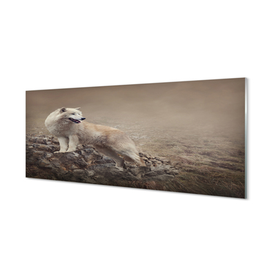 akrylový obraz vlk hory