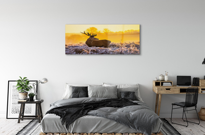 akrylový obraz Jelen zimní slunce