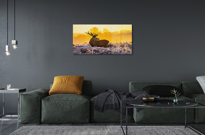 akrylový obraz Jelen zimní slunce