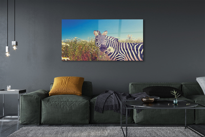 akrylový obraz zebra květiny