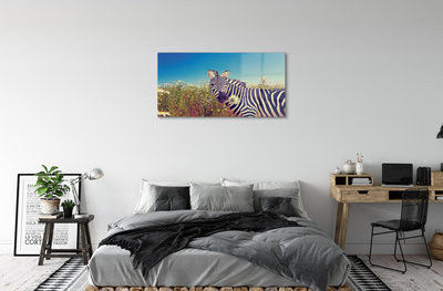 akrylový obraz zebra květiny