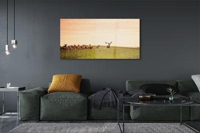 akrylový obraz Stádo jelenů pole svítání