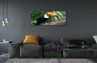 akrylový obraz Tukan na větvi