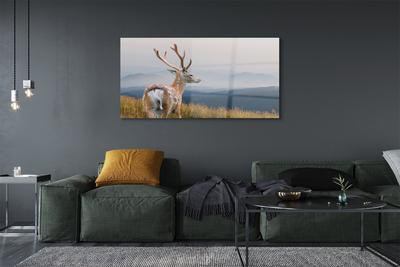 akrylový obraz jelen hory