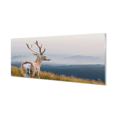 akrylový obraz jelen hory