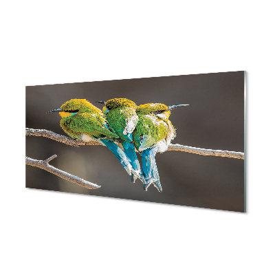 akrylový obraz Ptáci na větvi
