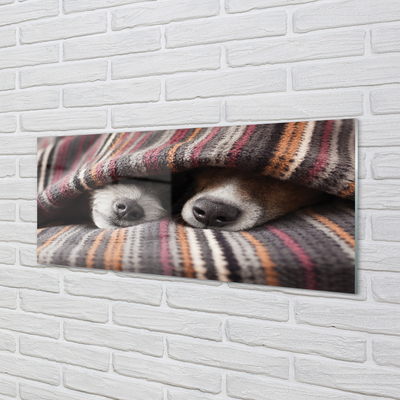 akrylový obraz spící psi