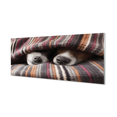 akrylový obraz spící psi