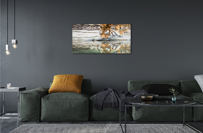 akrylový obraz tiger pití