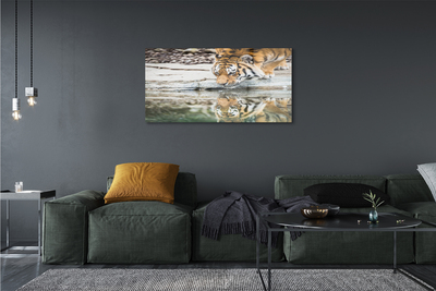 akrylový obraz tiger pití