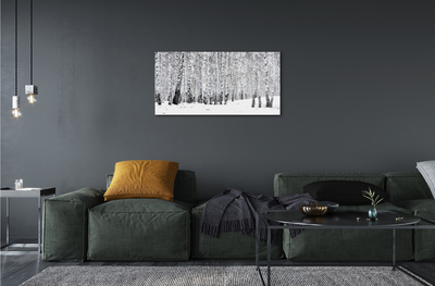 akrylový obraz Zimní břízy