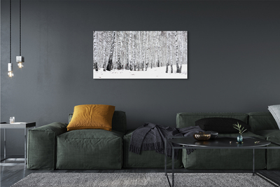 akrylový obraz Zimní břízy