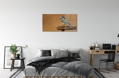 akrylový obraz Pták