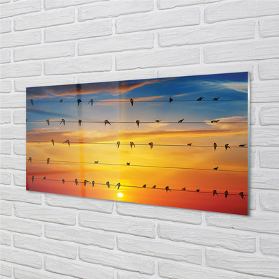 akrylový obraz Ptáci na lanech západu slunce