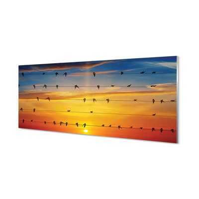 akrylový obraz Ptáci na lanech západu slunce