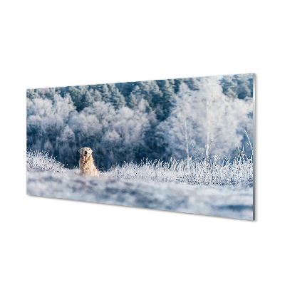 akrylový obraz Zimě salašnický pes