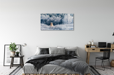 akrylový obraz Zimě salašnický pes