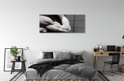 akrylový obraz Sval black and white