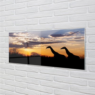 akrylový obraz Žirafy strom mraky
