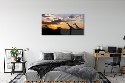 akrylový obraz Žirafy strom mraky
