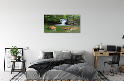 akrylový obraz vodopád tygři