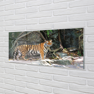 akrylový obraz tygr džungle