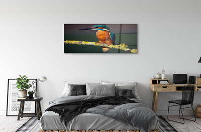 akrylový obraz Barevný pták na větvi