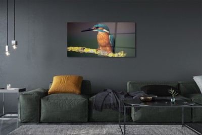 akrylový obraz Barevný pták na větvi