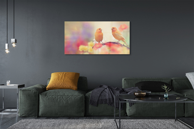 akrylový obraz barevný papoušek