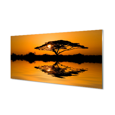 akrylove-obrazy-sunset-tree