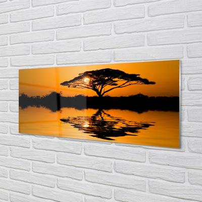 akrylový obraz Sunset tree