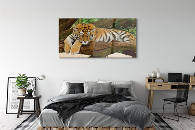 akrylový obraz tiger tree