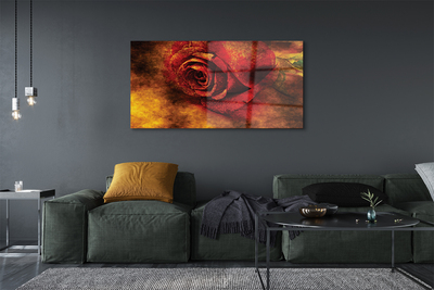 akrylový obraz rose picture