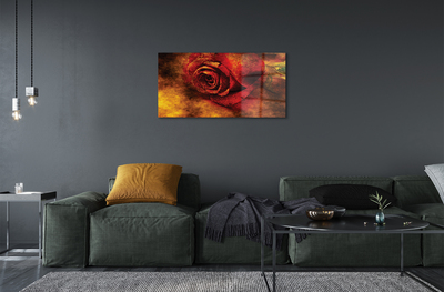 akrylový obraz rose picture