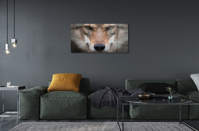 akrylový obraz wolf Eyes