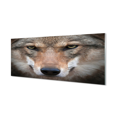 akrylový obraz wolf Eyes