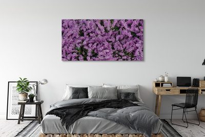Obrazy na plátně fialové květy