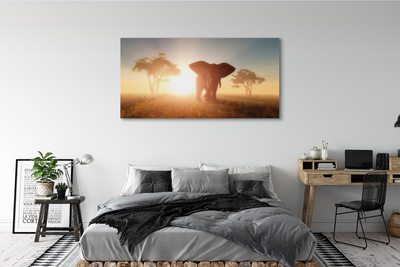 Obrazy na plátně Sloní strom na východ