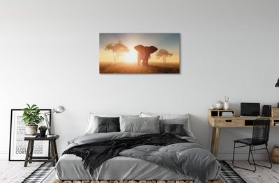 Obrazy na plátně Sloní strom na východ