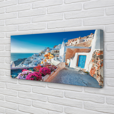 Obrazy na plátně Budovy Řecko mořské květiny