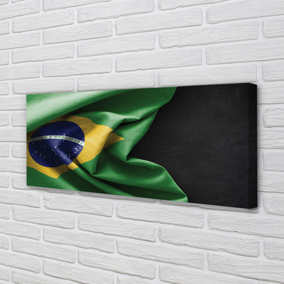 Obrazy na plátně brazilská vlajka