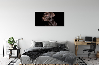 Obrazy na plátně hnědý pes