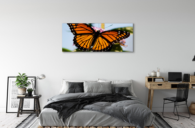 Obrazy na plátně barevný motýl