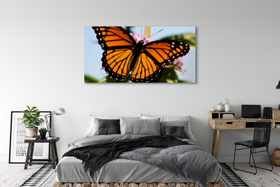 Obrazy na plátně barevný motýl