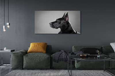 Obrazy na plátně Černý pes