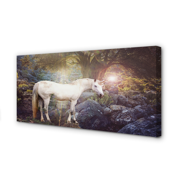 Obrazy na plátně Unicorn v lese