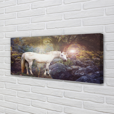 Obrazy na plátně Unicorn v lese