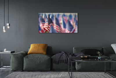 Obrazy na plátně Vlajky Spojených států
